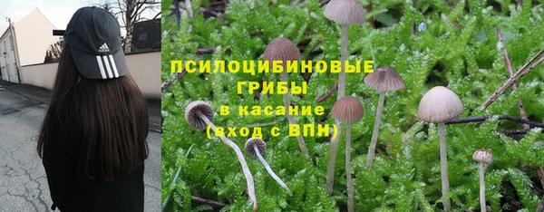 МДМА Рославль